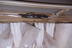 R1_5419_Termites_61
